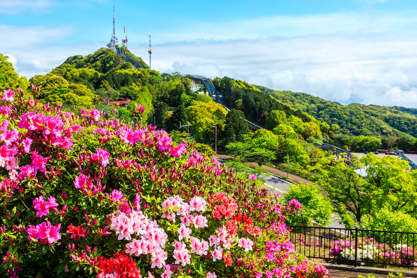 屋外で楽しむ！初夏の花とおすすめおでかけスポット～長崎ホテル清風篇～