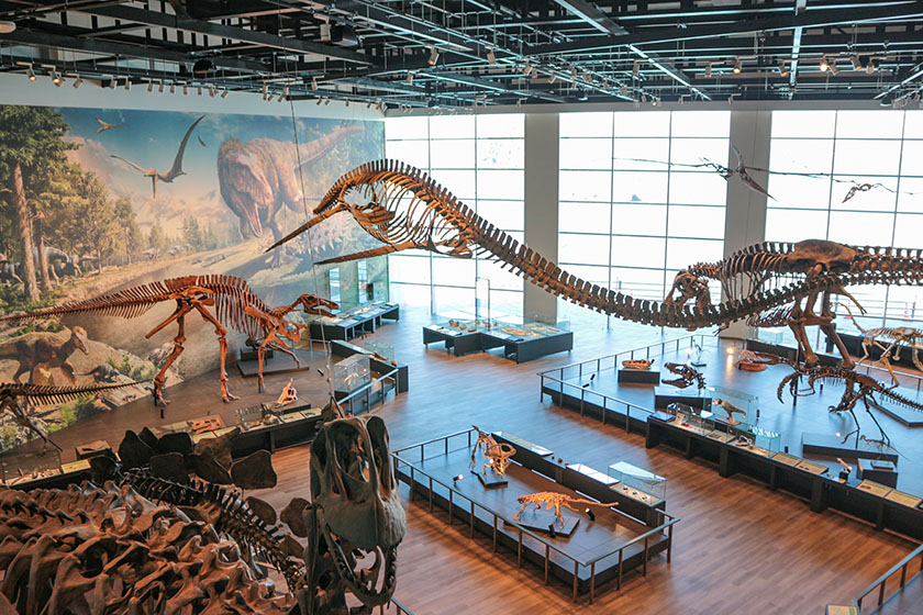 長崎市恐竜博物館